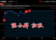 韩国股民狂买中概股，小米比亚迪宁德时代金额前三的简单介绍