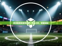 欧洲精英联赛季后赛：王者之争，荣耀加冕！