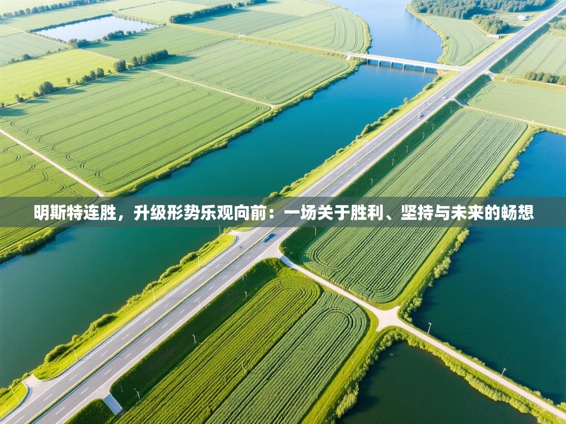 明斯特连胜,升级形势乐观向前:一场关于胜利、坚持与未来的畅想 第1张